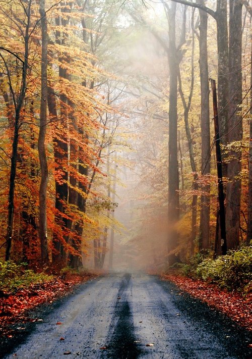 Fall Time