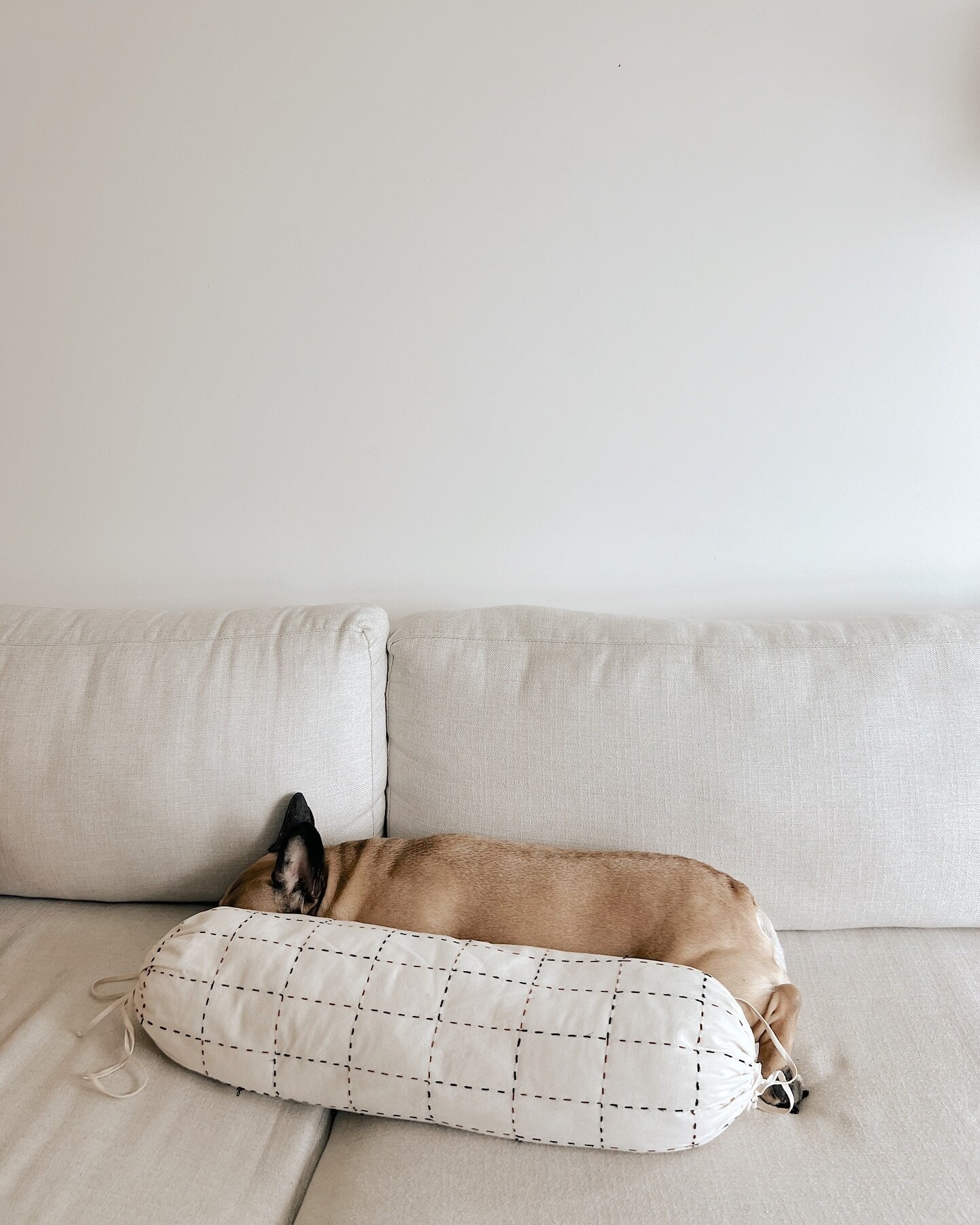A little ham &amp; an @esbe.studio bolster. 
#frenchiesofinstagram